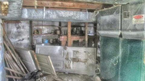 Taking a Peek at the Roof - IMG_0474270216AP0042.jpg