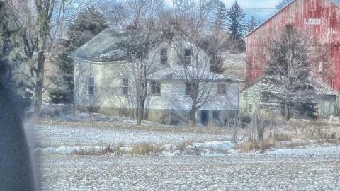 Taking a Peek at the Roof - IMG_0458270216AA0027.jpg