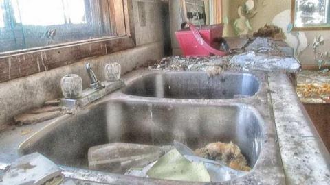 Taking a Peek at the Roof - IMG_0471270216AM0039.jpg