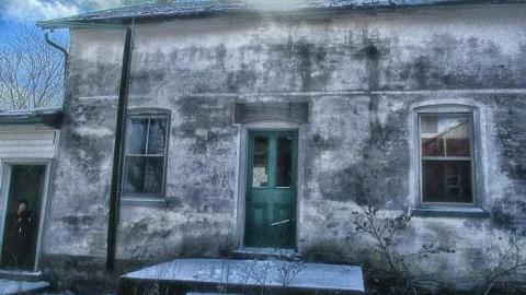 Taking a Peek at the Roof - IMG_0472270216AN0040.jpg