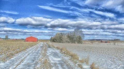 Taking a Peek at the Roof - IMG_0481270216AW0049.jpg