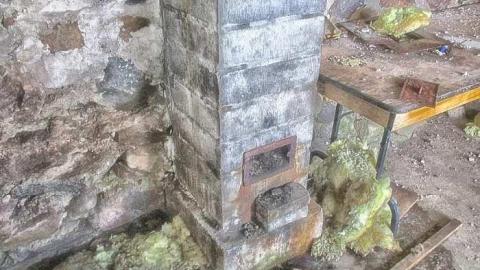 Taking a Peek at the Roof - IMG_0475270216AQ0043.jpg