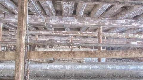 Taking a Peek at the Roof - IMG_0479270216AU0047.jpg