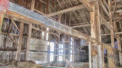 Taking a Peek at the Roof - IMG_0480270216AV0048.jpg