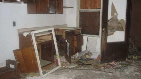 JEREMIAH'S FIELD june 2011 - Jeremiahs-Field98.jpg