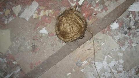 Photo from JEREMIAH'S FIELD june 2011