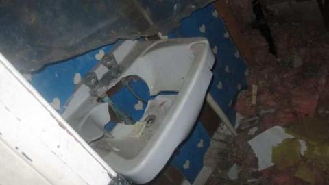 Photo from JEREMIAH'S FIELD june 2011