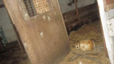 JEREMIAH'S FIELD june 2011 - Jeremiahs-Field105.jpg