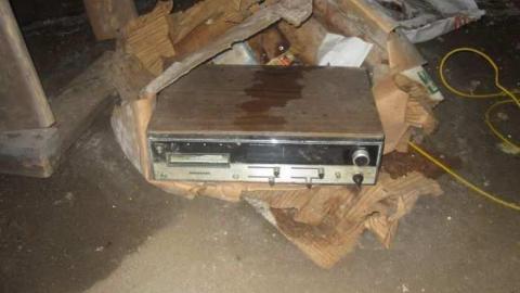 JEREMIAH'S FIELD june 2011 - Jeremiahs-Field107.jpg