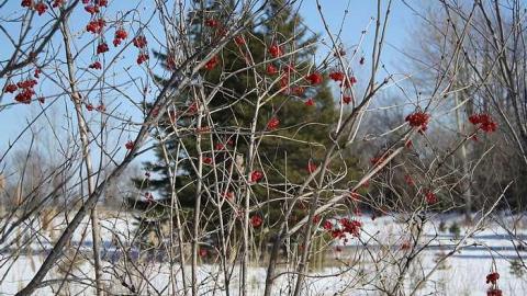 The neighborg - For-Clay45.jpg