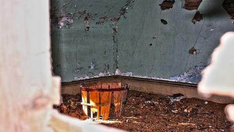 The neighborg - For-Clay42.jpg