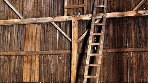 The neighborg - For-Clay36.jpg