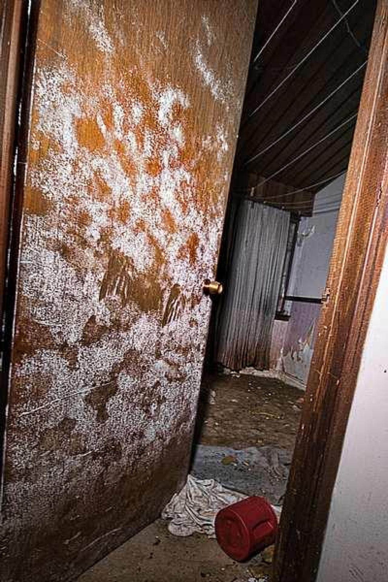 Inside photos - IMG_2029s.jpg