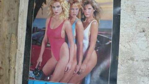 Shop & Barn - Pinkerton-Farm124.jpg