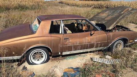 Thanksgiving 2015 - IMG_1434.jpg