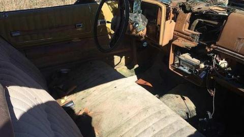 Photo from Thanksgiving 2015