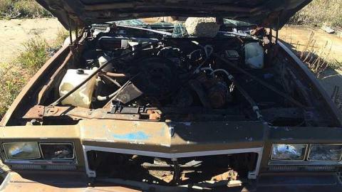 Thanksgiving 2015 - IMG_1436.jpg