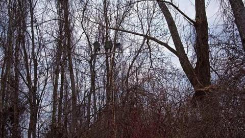 Jan 27th 2016 - thumb_DSC_2921_1024.jpg