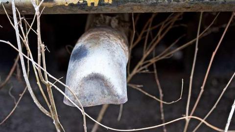 Jan 27th 2016 - thumb_DSC_2931_1024.jpg