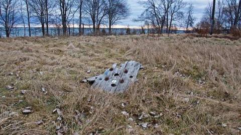 Jan 27th 2016 - thumb_DSC_2959_1024.jpg