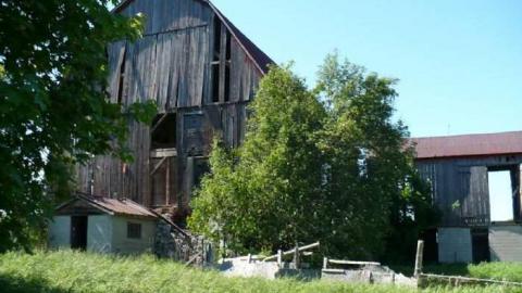 Shop & Barn - Pinkerton-Farm129.jpg