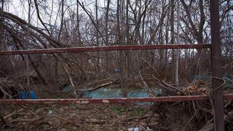 Jan 27th 2016 - thumb_DSC_2963_1024.jpg