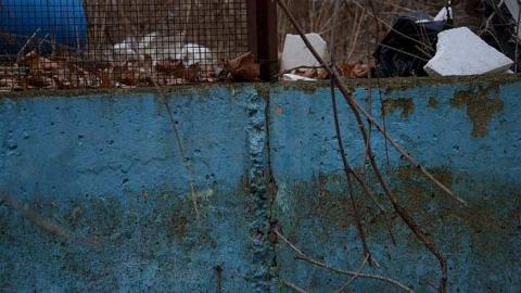 Jan 27th 2016 - thumb_DSC_2965_1024.jpg