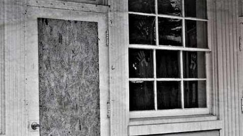 May 2015 - Variety-In-Buffalo1.jpg