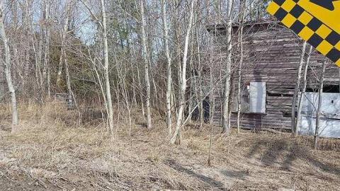 Horses - Old-Horse-Stable-Tiny-Beaches2.jpg