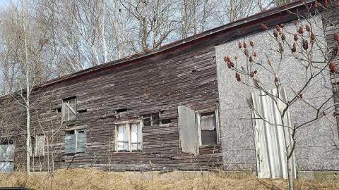 Horses - Old-Horse-Stable-Tiny-Beaches3.jpg