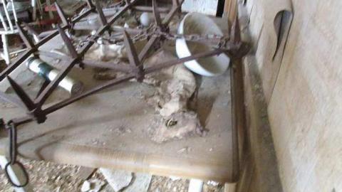 The 50th Shade - Donald-Schenk-farm77.jpg