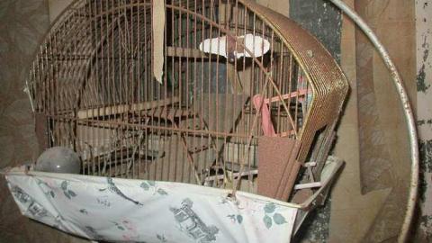 The 50th Shade - Donald-Schenk-farm37.jpg