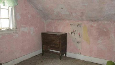 The 50th Shade - Donald-Schenk-farm80.jpg