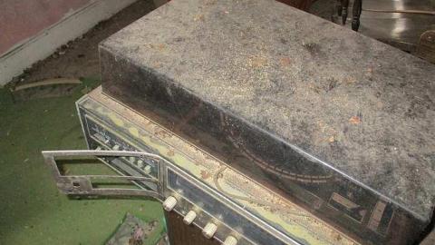 The 50th Shade - Donald-Schenk-farm40.jpg