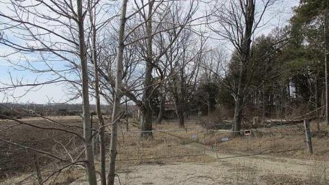 The 50th Shade - Donald-Schenk-farm82.jpg