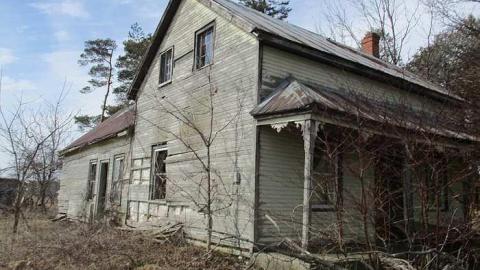 The 50th Shade - Donald-Schenk-farm42.jpg