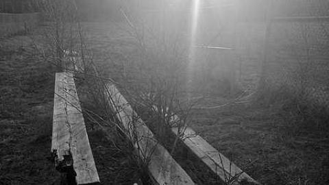 Field OF Dreams - Field-Of-Dreams7.jpg