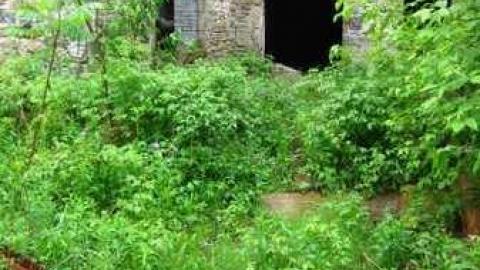 Barber Paper Mill (2) - Barber-Paper-Mill--Georgetown512.jpg