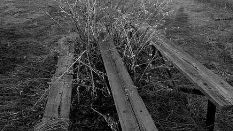 Field OF Dreams - Field-Of-Dreams2.jpg