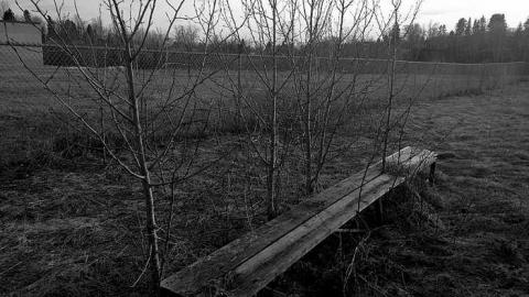 Field Of Dreams - Cochrane, Ontario