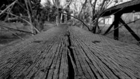 Field Of Dreams photo 5