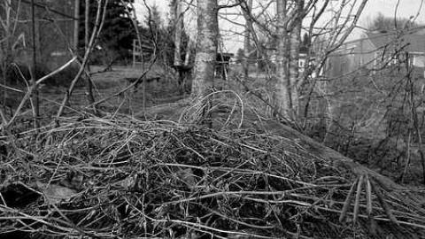 Field OF Dreams - Field-Of-Dreams4.jpg