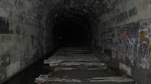 Blue Ghost 2016 (March) - Blue-Ghost-Tunnel--Merritton57.jpg