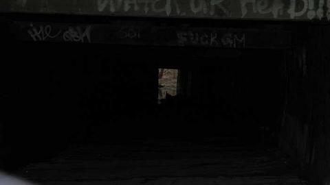 Blue Ghost 2016 (March) - Blue-Ghost-Tunnel--Merritton58.jpg