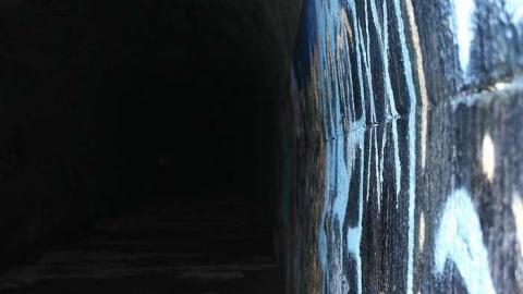 Photo from Blue Ghost 2016 (March)