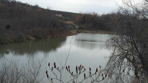 Blue Ghost 2016 (March) - Blue-Ghost-Tunnel--Merritton61.jpg