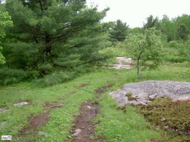 Legendary Road Swallowed Whole photo 4