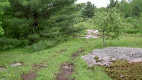 Legendary Road Swallowed Whole photo 4