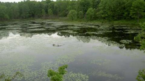 The road that got swallowed - Legendary-Road-Swallowed-Whole13.jpg