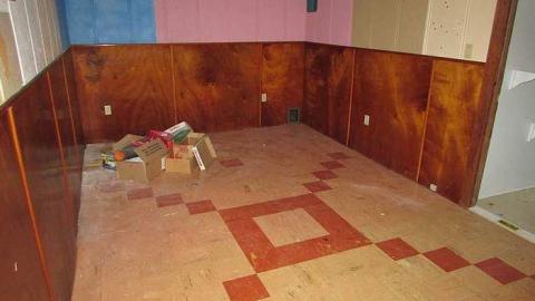 Postwar Bungalow in Hintonburg photo 2